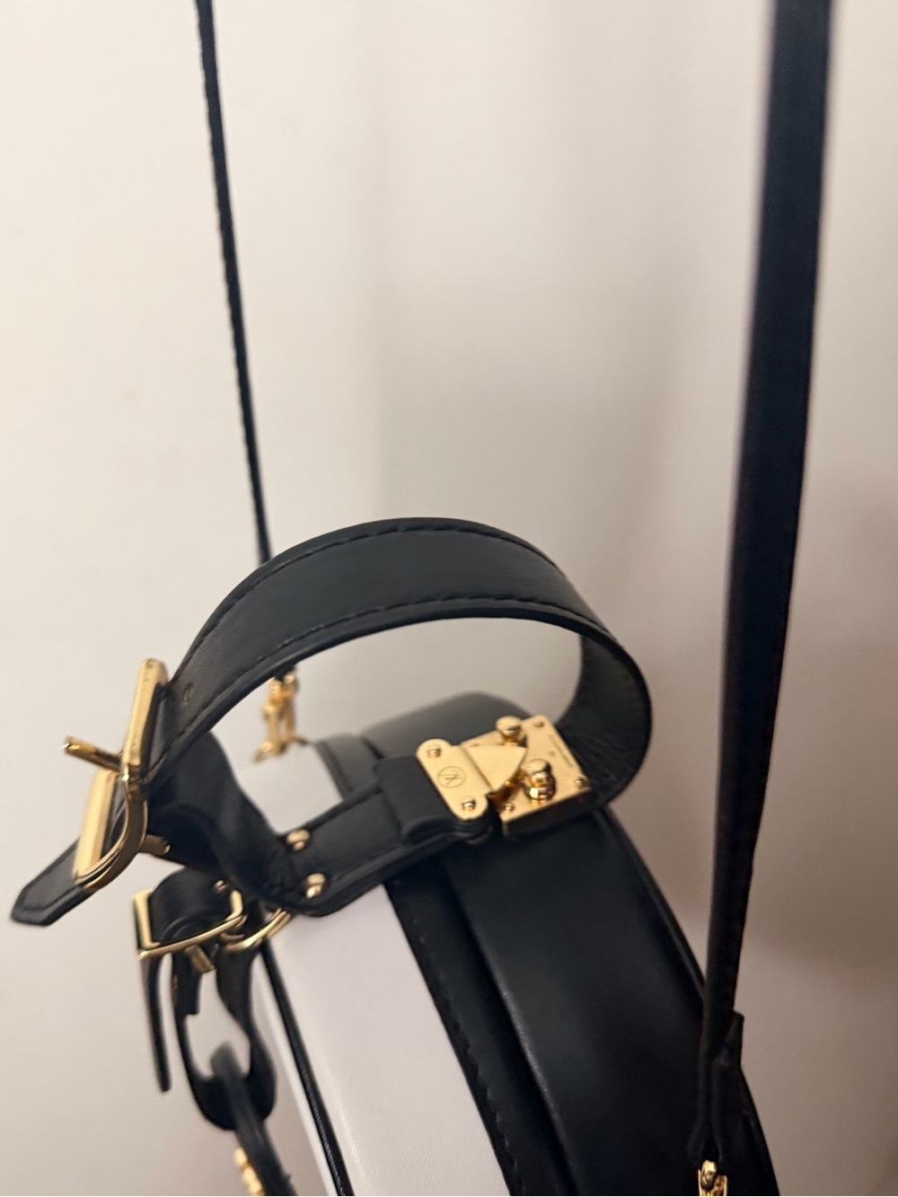 Louis Vuitton Black and White Round Crossbody with Gold Hardware - Picture 4 of 7